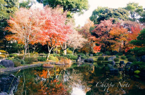 〈城南宮〉参拝・今年最後の遅い紅葉を楽しむひととき-アイキャッチ