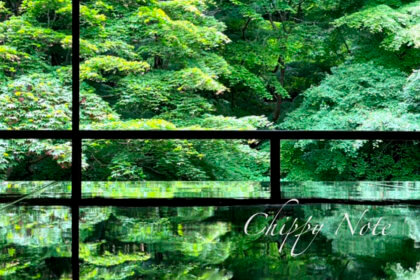 新緑の絶景〈瑠璃光院〉は行列必須？京都市内からオススメのアクセス方法も紹介！-アイキャッチ