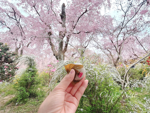 桜もち