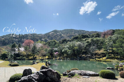 春の京都・嵐山で桜満開の世界遺産〈天龍寺〉参拝-IC