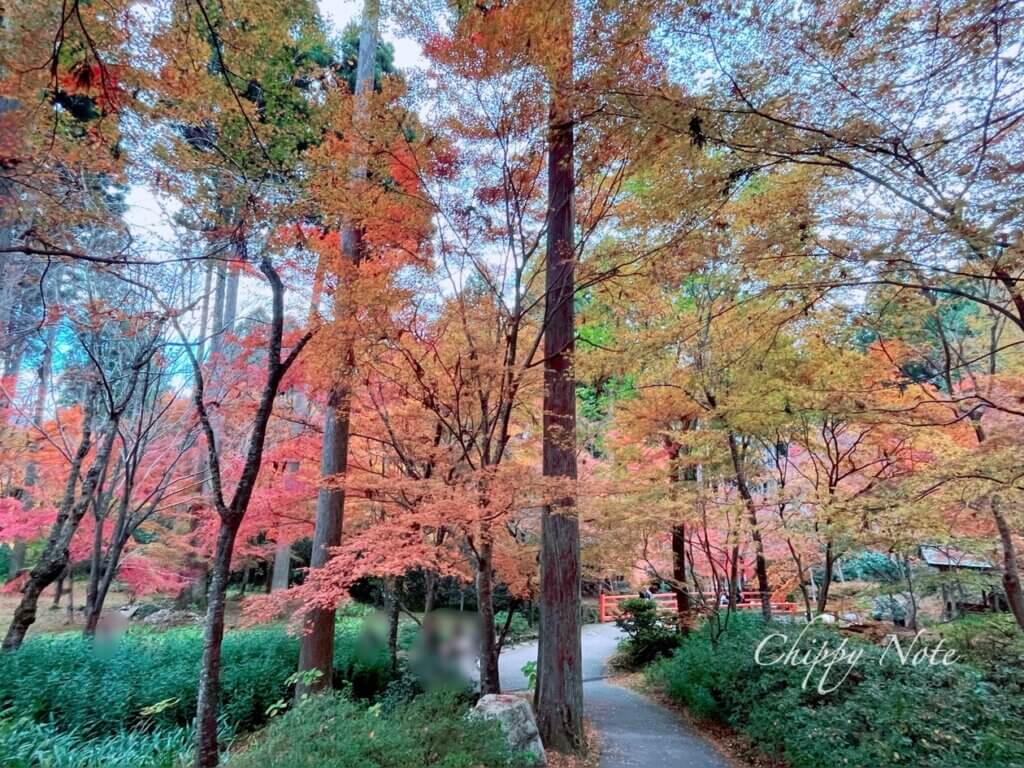 三千院の紅葉