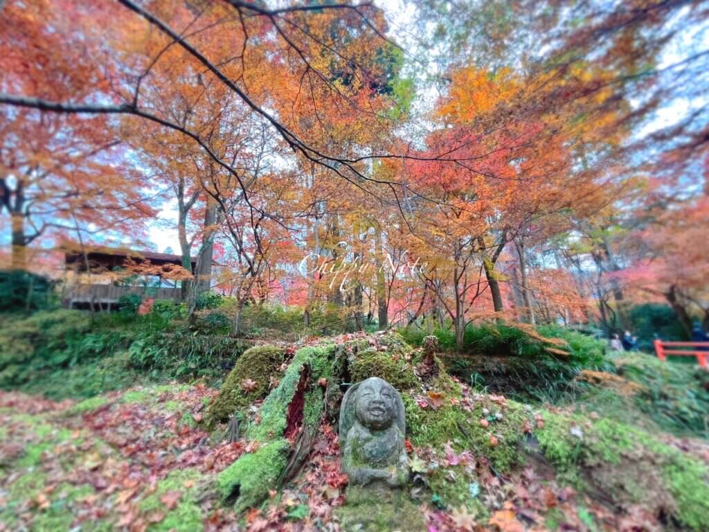 三千院・紅葉