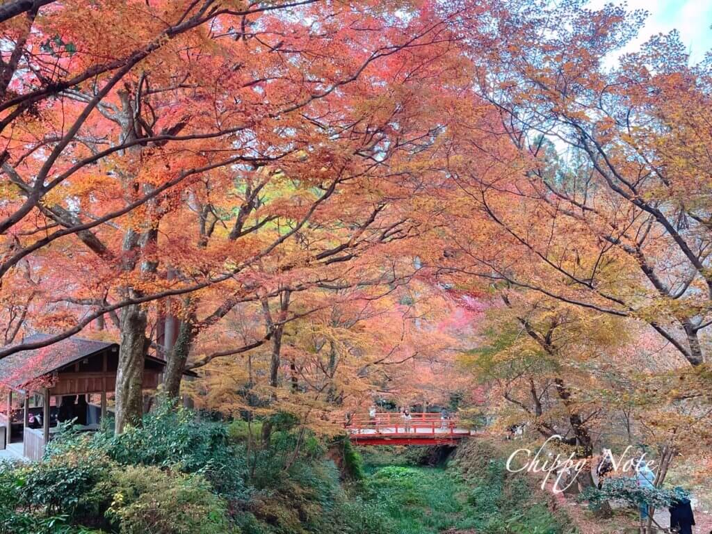 三千院・紅葉