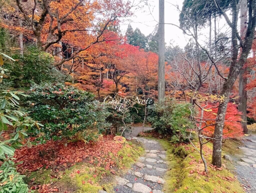三千院・紅葉