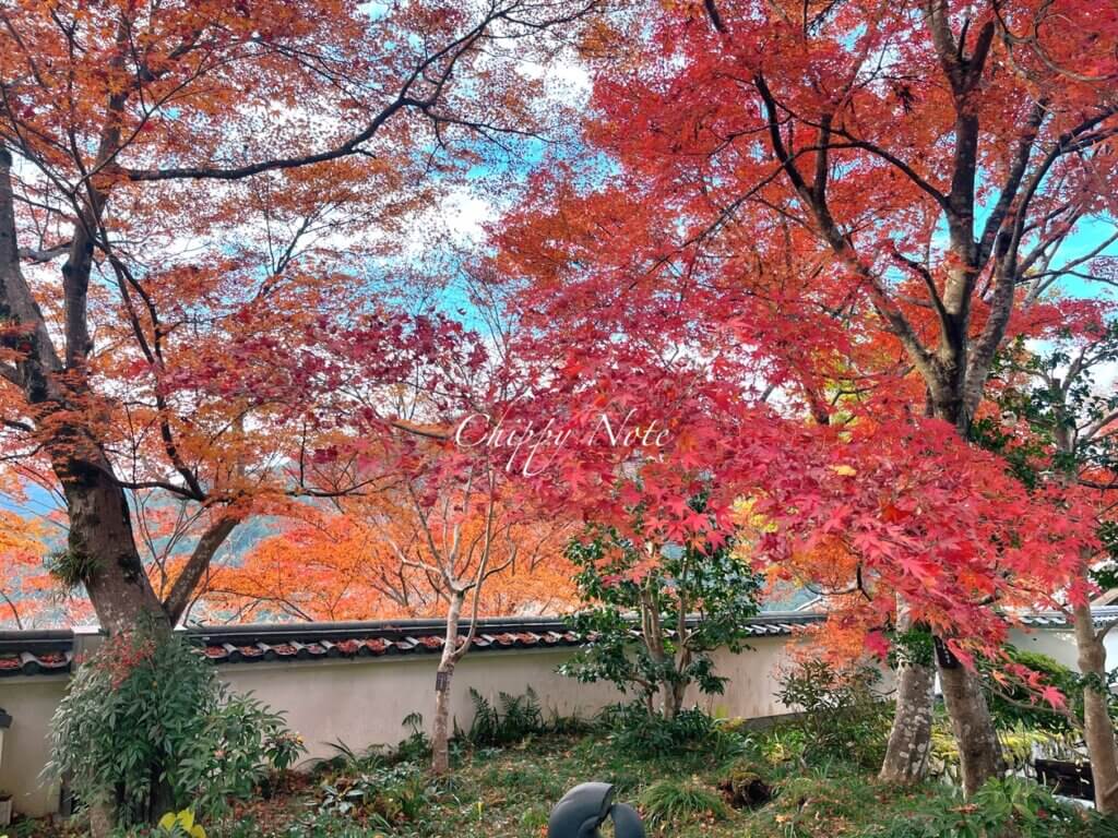 三千院・紅葉