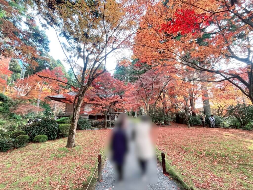 有清園（ゆうせいえん）